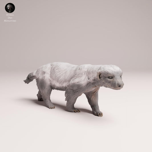Product photo Animal Figure Diorama, Model Building: 0: Wild Animal Figure: Honey Badger – realistic for dioramas and model building (Ref 25_08_10)