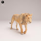 Product photo Animal Figure Diorama, Model Building: 0: Wild Animal Figure: Lion – Cub (Ref 25_08_12)