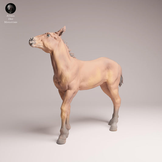 Product photo Animal Figure Diorama, Model Building: 0: Farm Animal Figure: Mustang Calf – Foal (Ref 25_09_13)