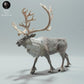 Product photo Animal Figure Diorama, Model Building: 0: Wild Animal Figure: Calling Reindeer Bull / Caribou (Ref 01_01_70)