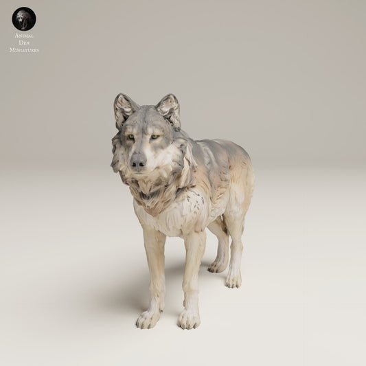 Produktfoto Tier Figur Diorama, Modellbau: 0: Wildtier Figur: Grauer Wolf (Ref 25_06_06)