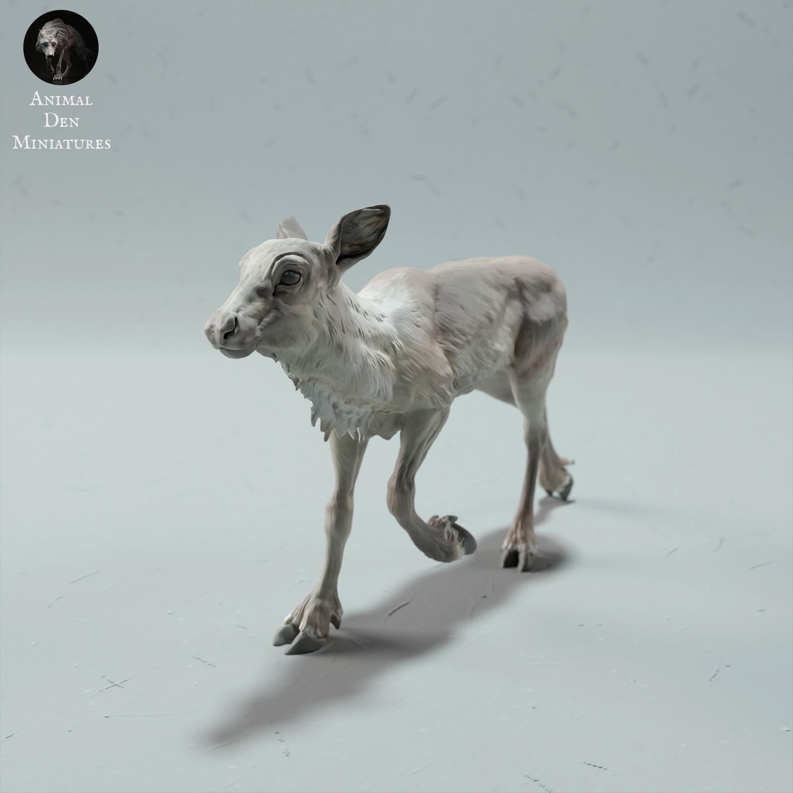 Product photo Animal Figure Diorama, Model Building: 0: Wildlife Figure: Reindeer Calf – Caribou (Ref 01_01_66)