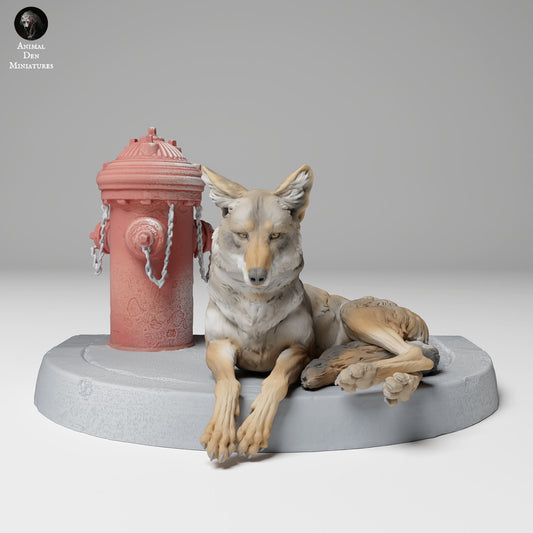 Produktfoto Tier Figur Diorama, Modellbau: 0: Wildtier Figur: Liegender Kojote (Ref 24_11_01)