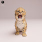Produktfoto Tier Figur Diorama, Modellbau: 0: Wildtier Figur: Amur Leopard Junges – brüllend (Ref 25_07_14)