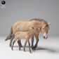 Produktfoto Tier Figur Diorama, Modellbau: 0: Wildtier Figur: Przewalski-Pferd mit Fohlen (Ref 24_12_03)