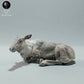 Product photo Animal Figure Diorama, Model Building: 0: Wildlife Figure: Reindeer / Caribou Female (Ref 01_01_67)