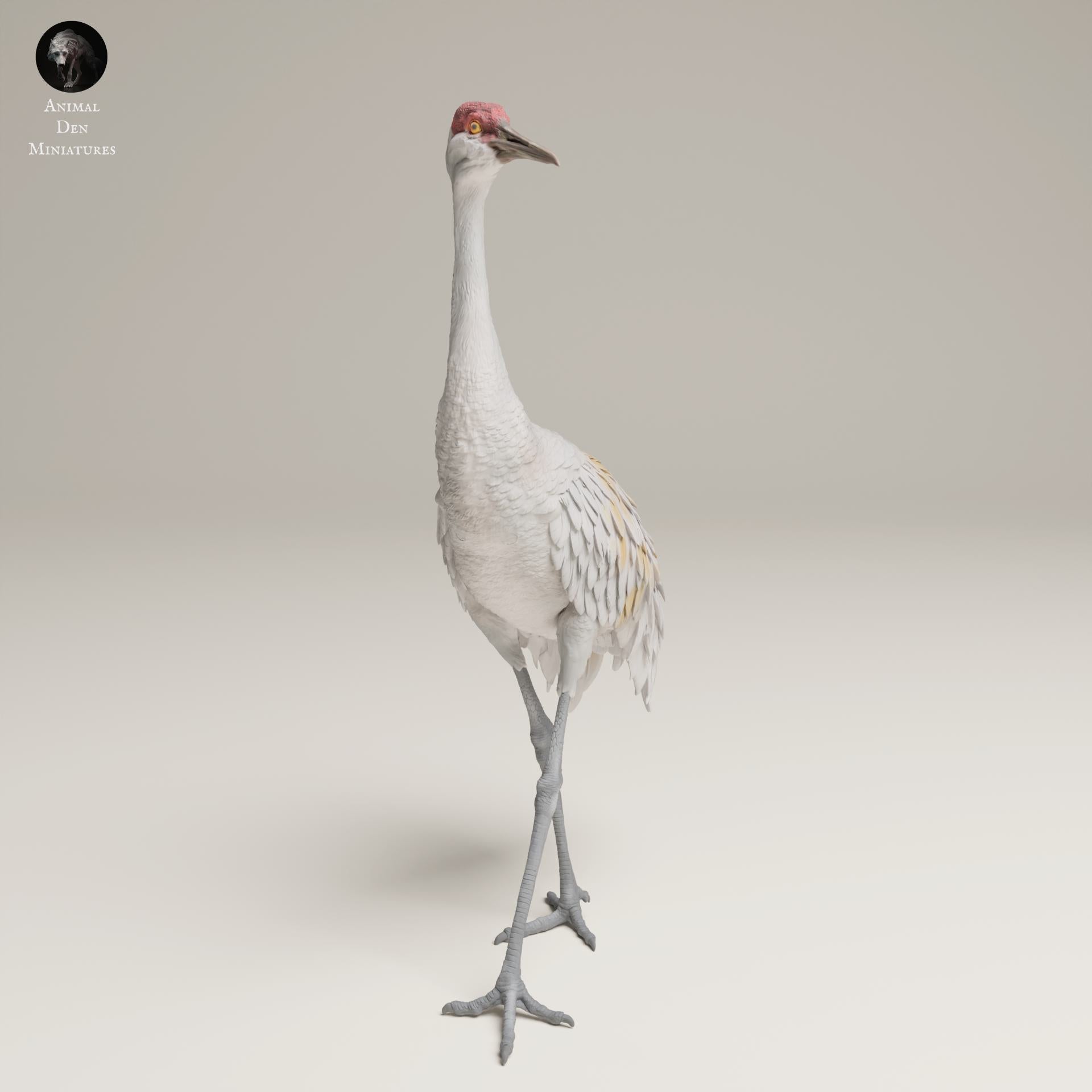 Produktfoto Tier Figur Diorama, Modellbau: 0: Wildtier Figur: Großer Kanadakranich – Greater Sandhill Crane (Ref 25_06_11)