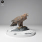 Produktfoto Tier Figur Diorama, Modellbau: 0: Wildtier Figur: Goldener Adler (Ref 01_01_02)