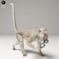Produktfoto Tier Figur Diorama, Modellbau: 0: Dschungel Tier Figur: Brillenklauender Javaneraffe – Makake (Ref 24_09_12)