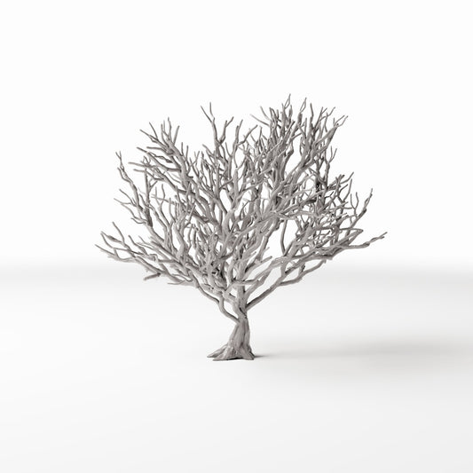 Diorama model-building product photo 0: Diorama Plants: Leafless Bush with Roots (Ref. 1091D)