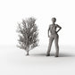 Diorama model-building product photo 1: Diorama Plants: Tall Leafless Tree with Roots (Ref. 1092D)