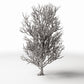 Diorama model-building product photo 0: Diorama Plants: Tall Leafless Tree with Roots (Ref. 1092D)
