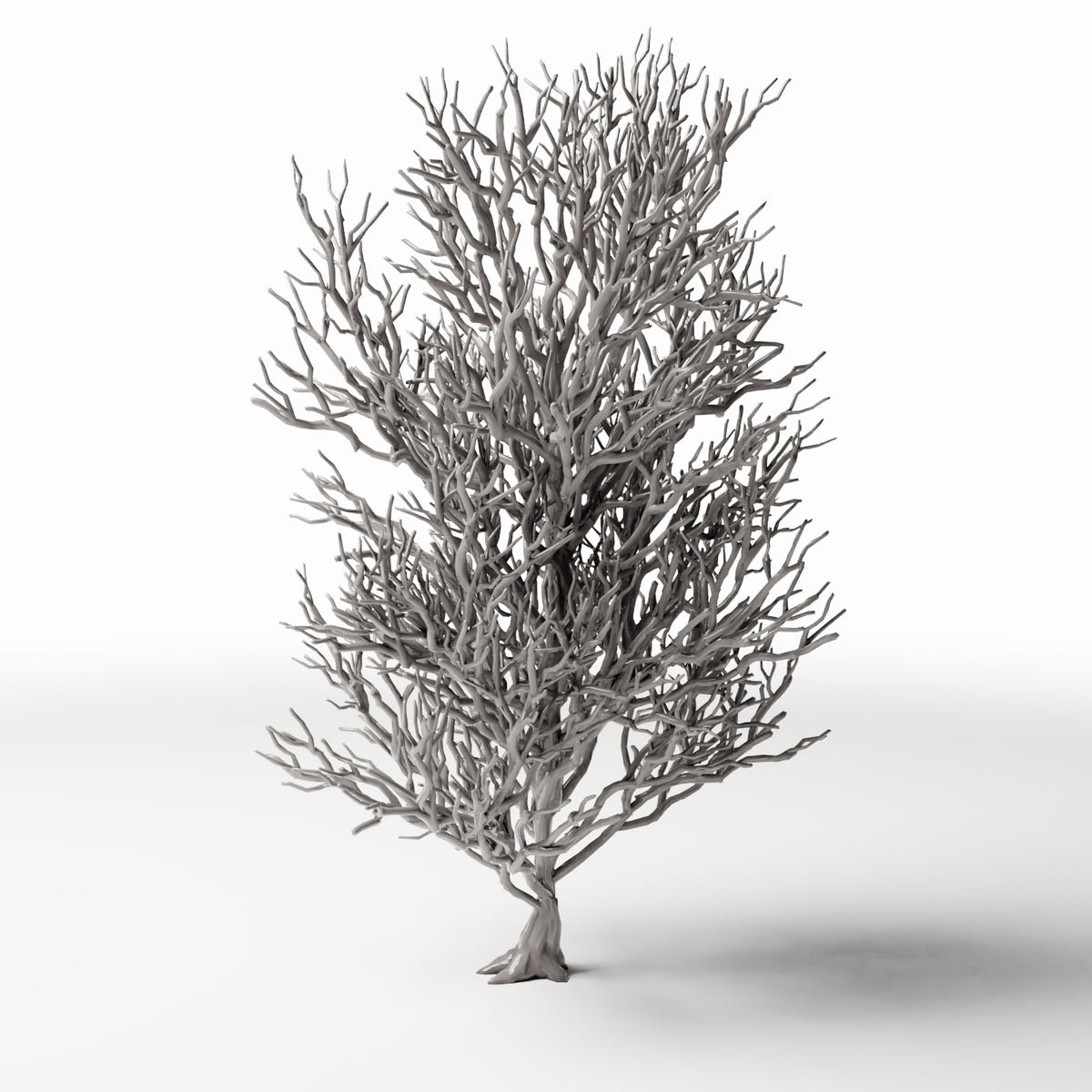 Diorama model-building product photo 0: Diorama Plants: Tall Leafless Tree with Roots (Ref. 1092D)