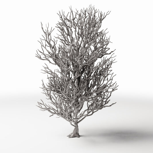 Diorama model-building product photo 0: Diorama Plants: Tall Leafless Tree with Roots (Ref. 1092D)