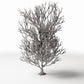 Diorama model-building product photo 2: Diorama Plants: Tall Leafless Tree with Roots (Ref. 1092D)