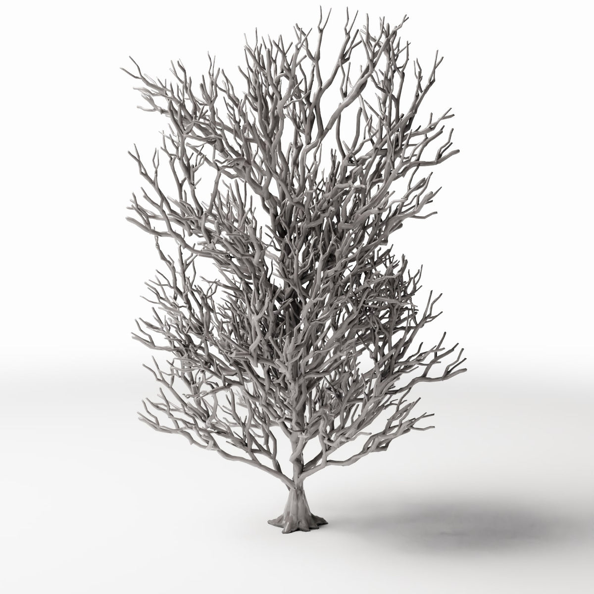 Diorama model-building product photo 2: Diorama Plants: Tall Leafless Tree with Roots (Ref. 1092D)