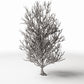 Diorama model-building product photo 3: Diorama Plants: Tall Leafless Tree with Roots (Ref. 1092D)