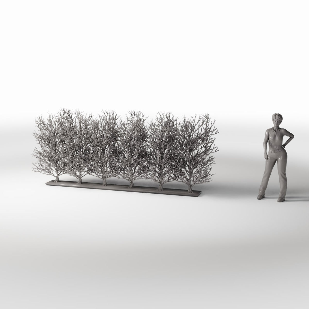 Diorama model-building product photo 1: Diorama Plants: Leafless Ornamental Shrub Row (Ref. 1094D)