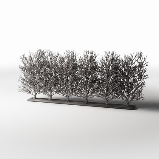 Diorama model-building product photo 0: Diorama Plants: Leafless Ornamental Shrub Row (Ref. 1094D)