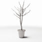 Diorama model-building product photo 3: Diorama Plants: Leafless Ornamental Tree in Flower Pot (Ref. 1099D)