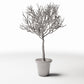 Diorama Modellbau Produktfoto 0: Diorama Pflanzen: Blattloser Zierbaum im Blumentopf (Ref. 1100D)