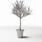 Diorama Modellbau Produktfoto 3: Diorama Pflanzen: Blattloser Zierbaum im Blumentopf (Ref. 1100D)