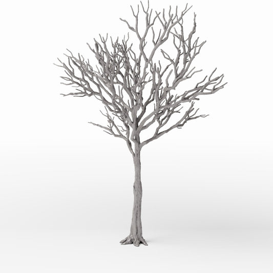 Diorama model-building product photo 0: Diorama Plants: Detailed Leafless Deciduous Tree (Ref. 1104D)