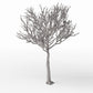 Diorama model-building product photo 0: Diorama Plants: Detailed Leafless Tree (Ref. 1106D)