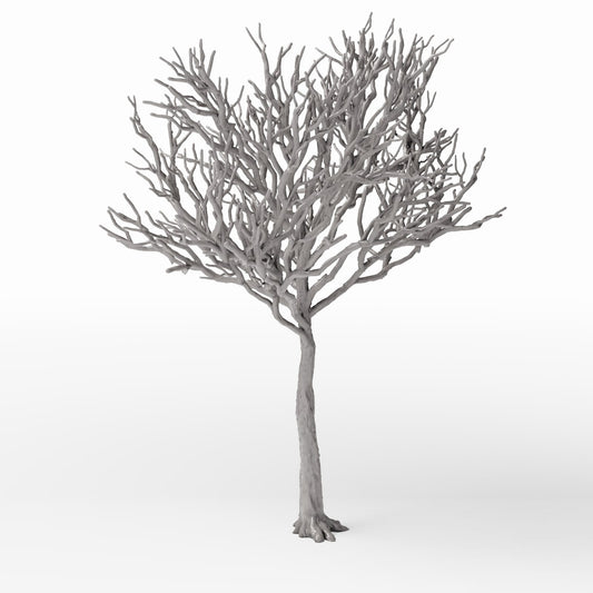 Diorama model-building product photo 0: Diorama Plants: Detailed Leafless Tree (Ref. 1106D)