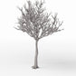 Diorama model-building product photo 3: Diorama Plants: Detailed Leafless Tree (Ref. 1106D)