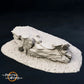 Product photo Tabletop 28mm The Printing Goes Ever On (TPGEO) 0: Hill Terrain Type A - Gentle Rise in Grassland