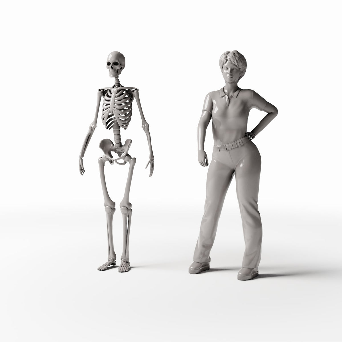 Diorama model-building product photo 1: Diorama Terrain: Anatomical Human Skeleton (Ref. 1455D)