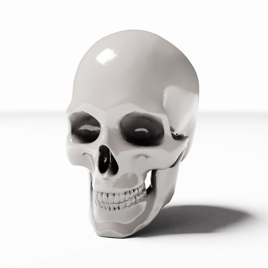 Diorama model-building product photo 0: Diorama Terrain: Human Skull (Ref. 1456D)