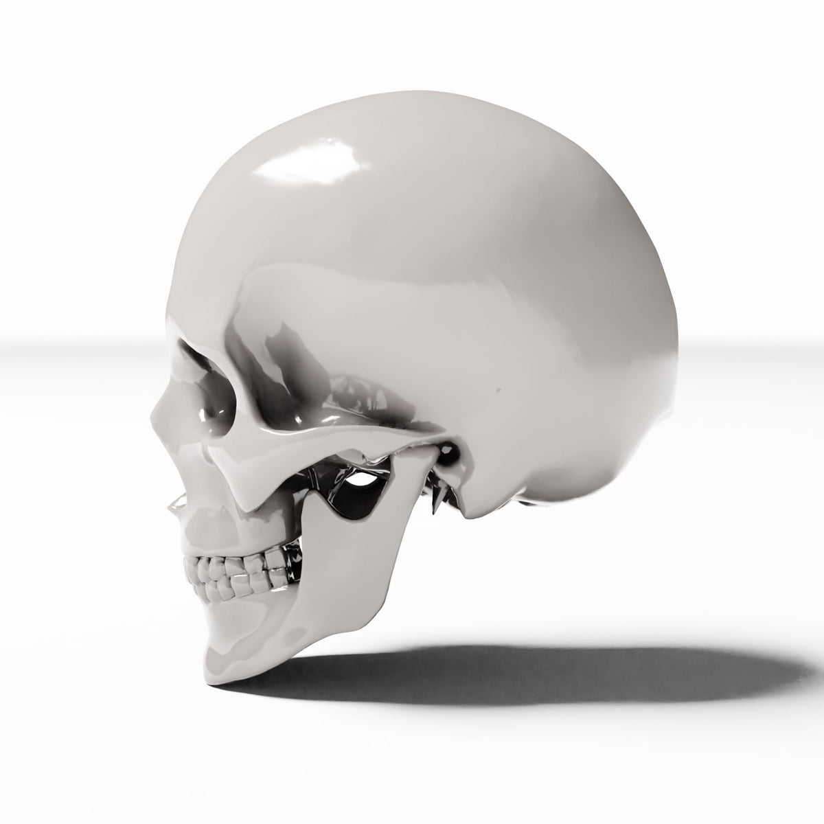 Diorama model-building product photo 2: Diorama Terrain: Human Skull (Ref. 1456D)