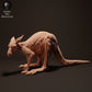 Produktfoto Tier Figur Diorama, Modellbau: 0: Wildtier Figur: Rotes Känguru Weibchen (Ref 01_01_08)