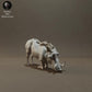 Product photo Animal Figure Diorama, Model Building: 0: Savanna Animals Figure: Kneeling Warthog – Common Warthog (Ref 01_01_56)