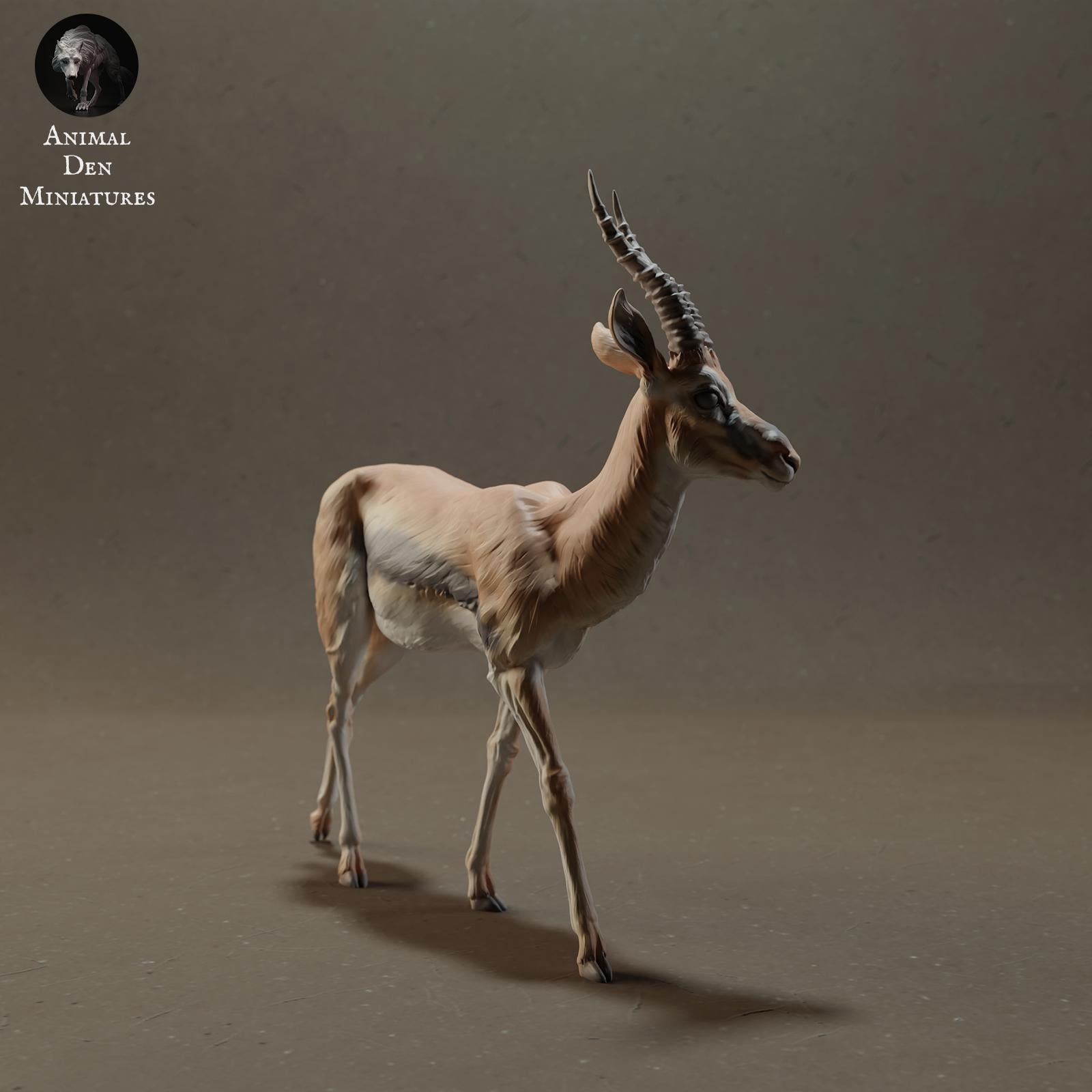 Product photo Animal Figure Diorama, Model Building: 0: Savanna Animals Figure: Thomson's Gazelle (Ref 01_01_57)
