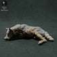 Produktfoto Tier Figur Diorama, Modellbau: 0: Wildtier Figur: schlafender Iberischer Wolf (Ref 01_01_28)