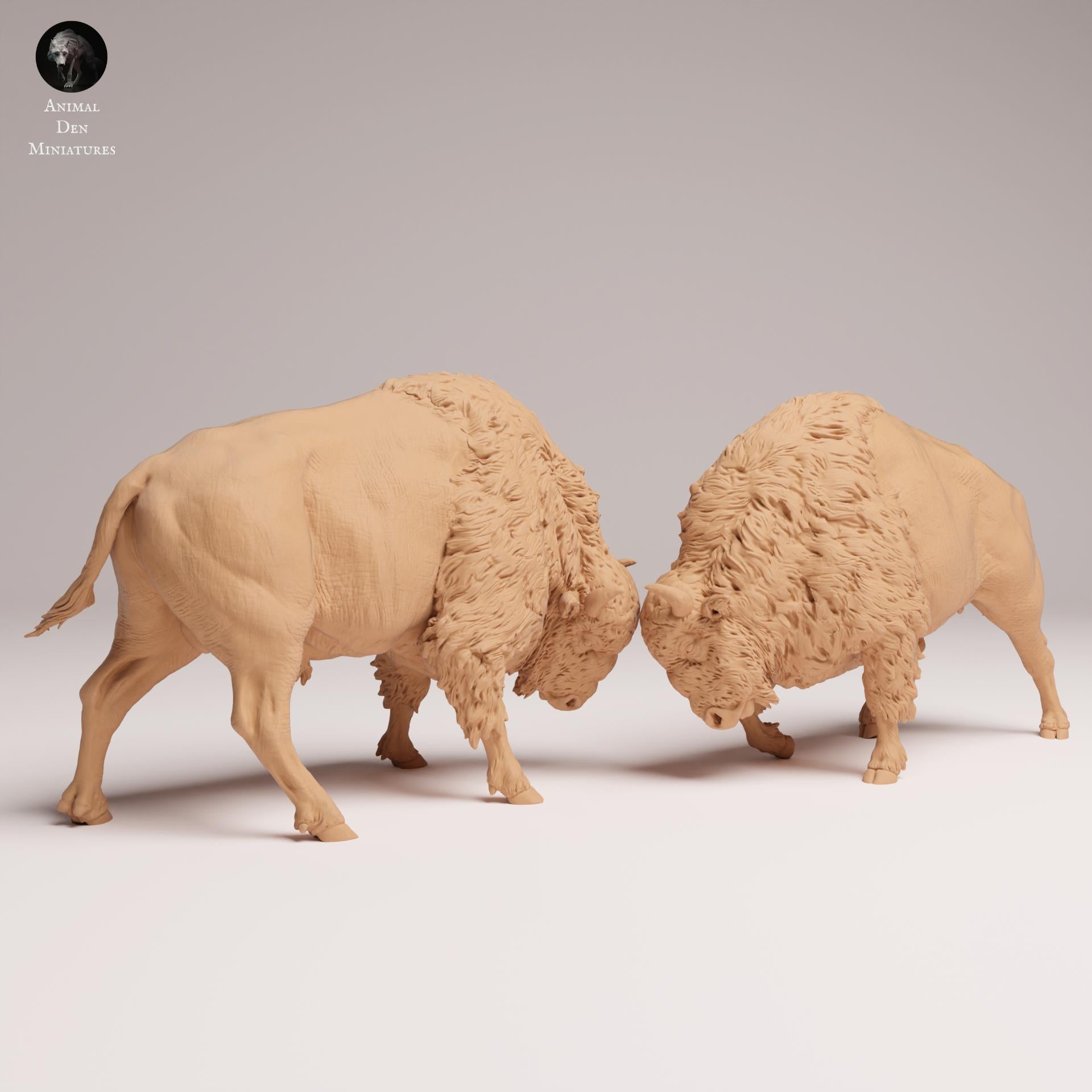 Product photo Animal Figure Diorama, Model Building: 0: Wildlife Figure: Fighting American Bison (Ref 25_09_09)