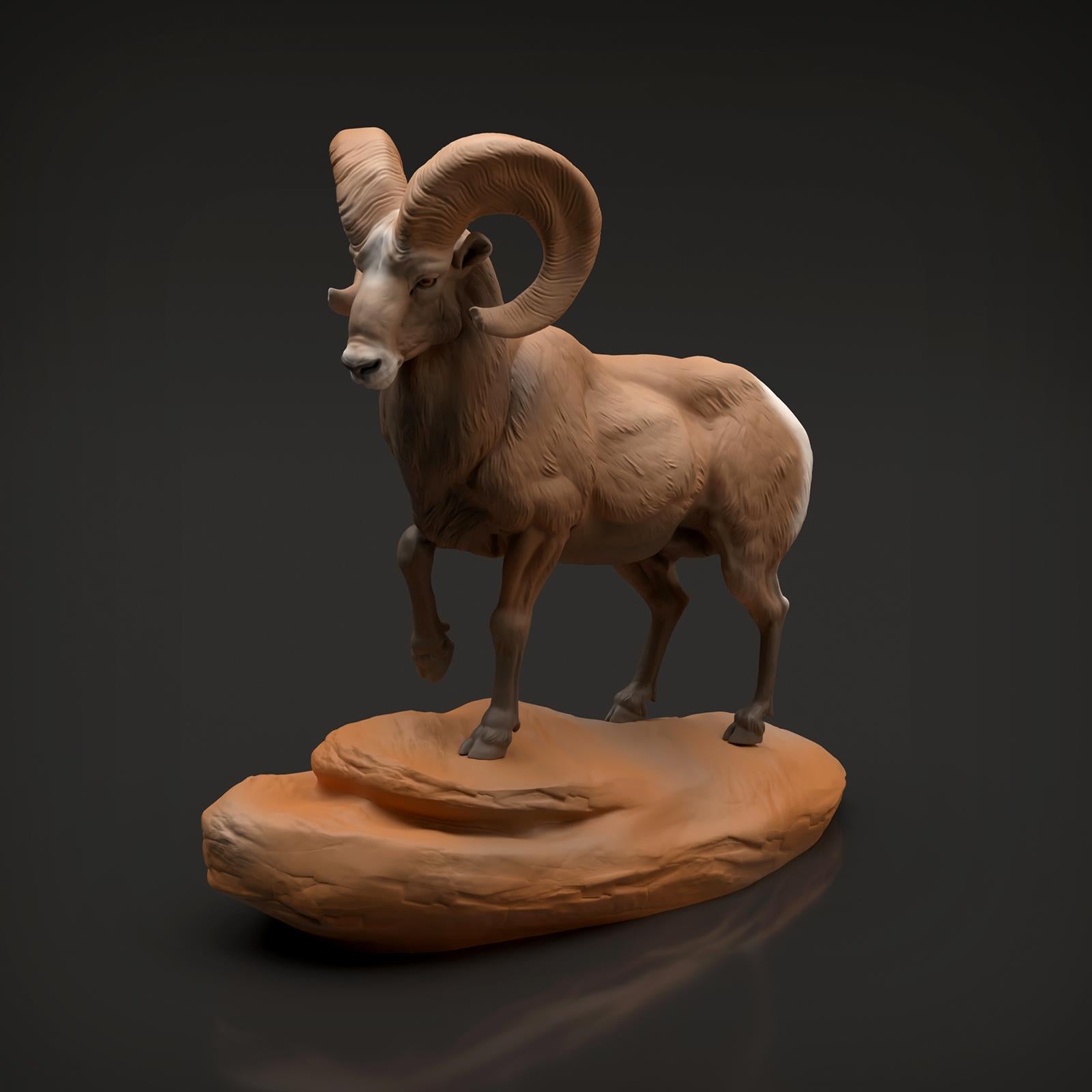 Product photo Animal Figure Diorama, Model Building: 0: Wildlife Figure: Bighorn Sheep Ram (Ref 01_01_89)