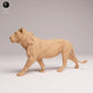 Product photo Animal Figure Diorama, Model Building: 0: Savanna Animal Figure: Young Lion – Subadult (Ref 25_08_04)