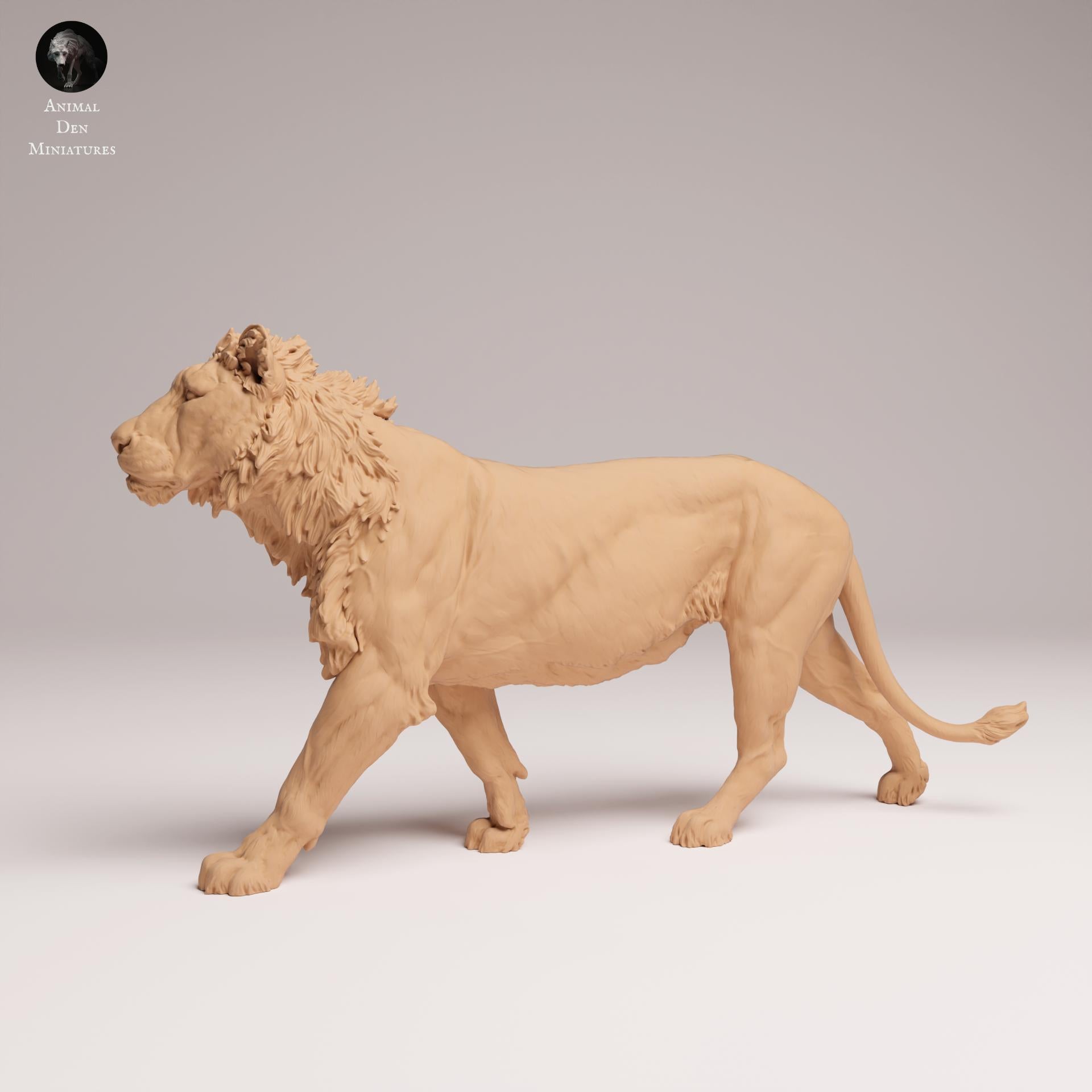 Product photo Animal Figure Diorama, Model Building: 0: Savanna Animal Figure: Young Lion – Subadult (Ref 25_08_04)
