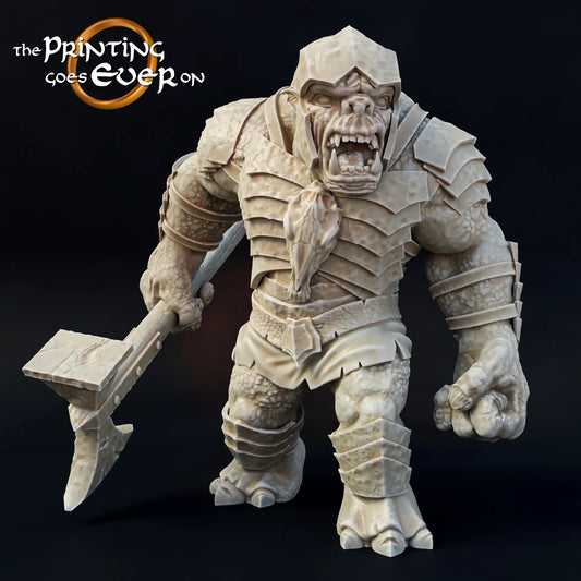 Produktfoto Tabletop 28mm The Printing Goes Ever On (TPGEO)  0: Troll mit Hammer: Kriegsbestie des Bösen - Große Kreatur/ Monster
