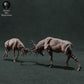 Product photo Animal Figure Diorama, Model Building: 0: Wildlife Figure: Fighting Red Deer – Stag Fight Diorama (Ref 01_01_71)