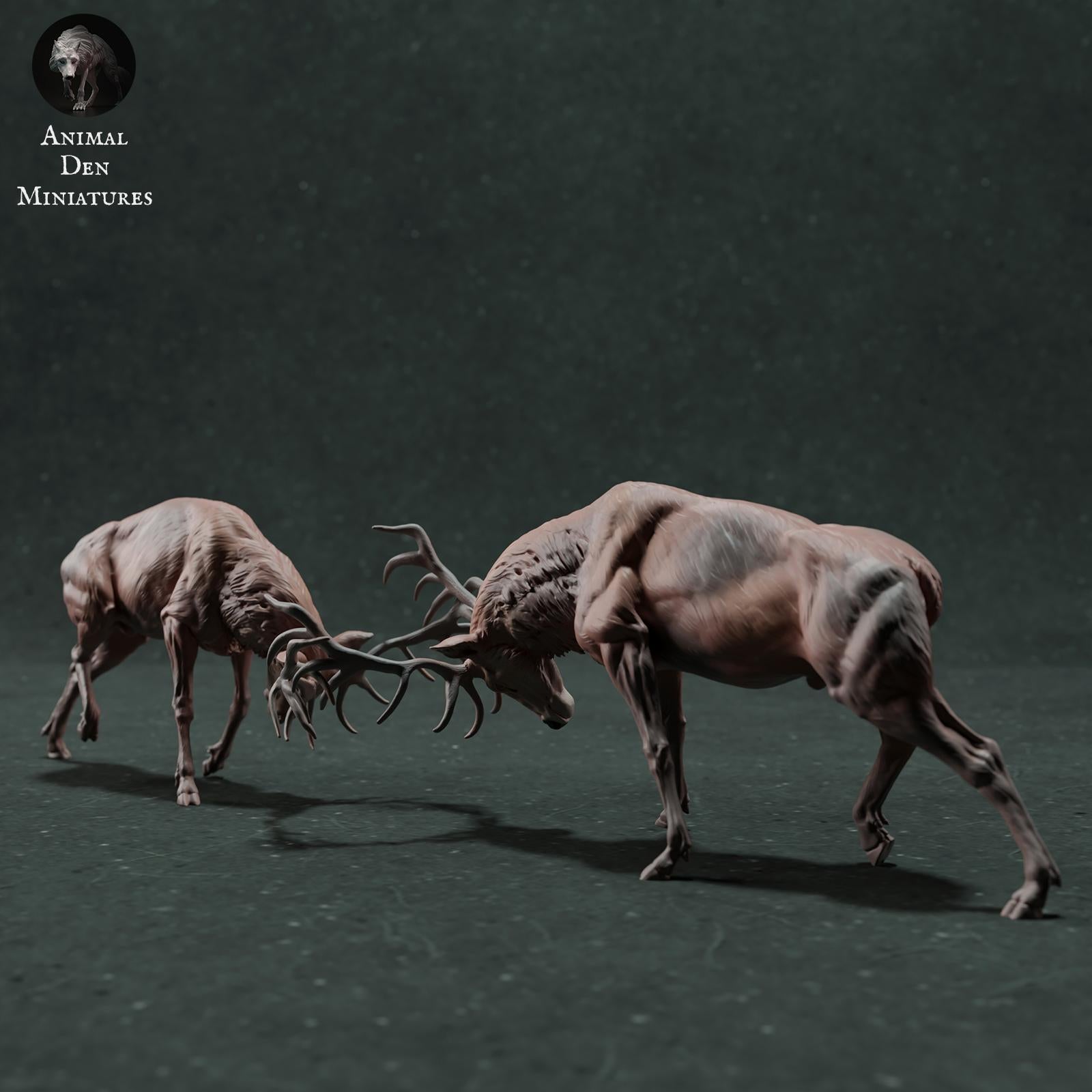 Product photo Animal Figure Diorama, Model Building: 0: Wildlife Figure: Fighting Red Deer – Stag Fight Diorama (Ref 01_01_71)