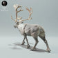 Product photo Animal Figure Diorama, Model Building: 0: Wild Animal Figure: Calling Reindeer Bull / Caribou (Ref 01_01_70)
