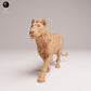 Product photo Animal Figure Diorama, Model Building: 0: Savanna Animal Figure: Young Lion – Subadult (Ref 25_08_04)