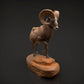 Product photo Animal Figure Diorama, Model Building: 0: Wildlife Figure: Bighorn Sheep Ram (Ref 01_01_89)