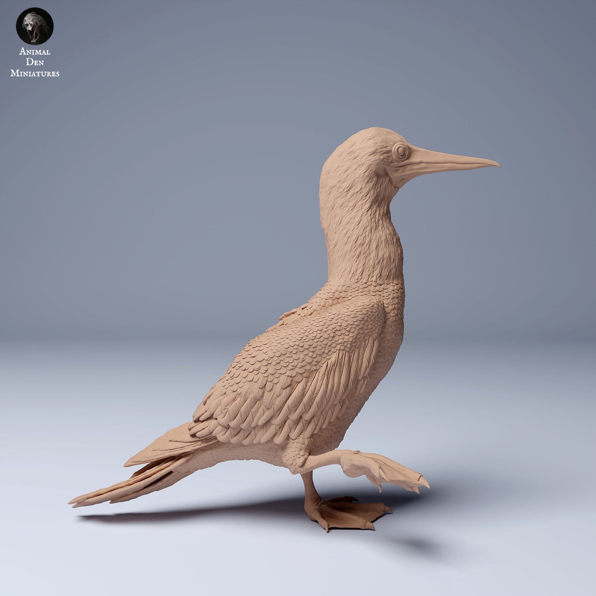 Produktfoto Tier Figur Diorama, Modellbau: 0: Meerestier Figur: Blaufußtölpel – Blue Footed Booby (Ref 24_08_06)