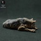 Produktfoto Tier Figur Diorama, Modellbau: 0: Wildtier Figur: schlafender Iberischer Wolf (Ref 01_01_28)